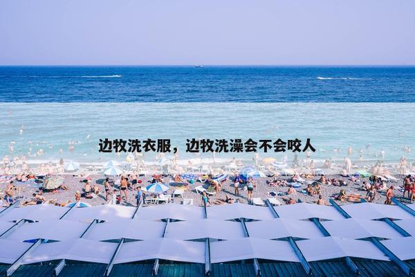 边牧洗衣服，边牧洗澡会不会咬人