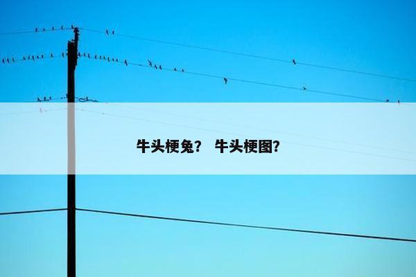 牛头梗兔？ 牛头梗图？