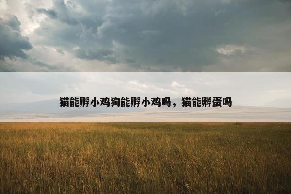 猫能孵小鸡狗能孵小鸡吗，猫能孵蛋吗