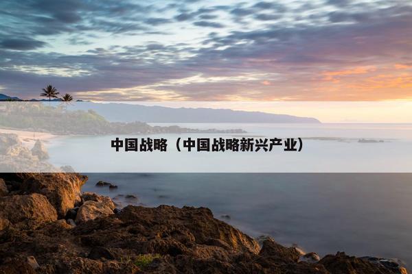 中国战略（中国战略新兴产业）