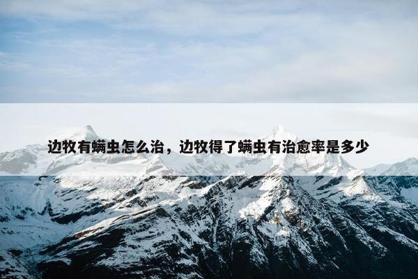 边牧有螨虫怎么治，边牧得了螨虫有治愈率是多少