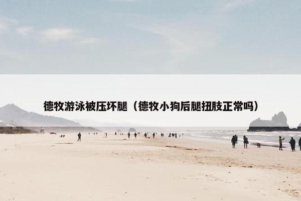 德牧游泳被压坏腿（德牧小狗后腿扭肢正常吗）