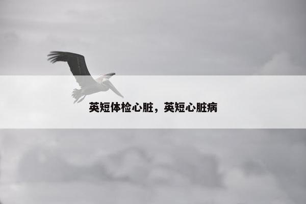 英短体检心脏，英短心脏病