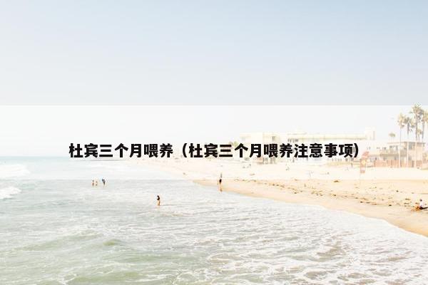 杜宾三个月喂养（杜宾三个月喂养注意事项）