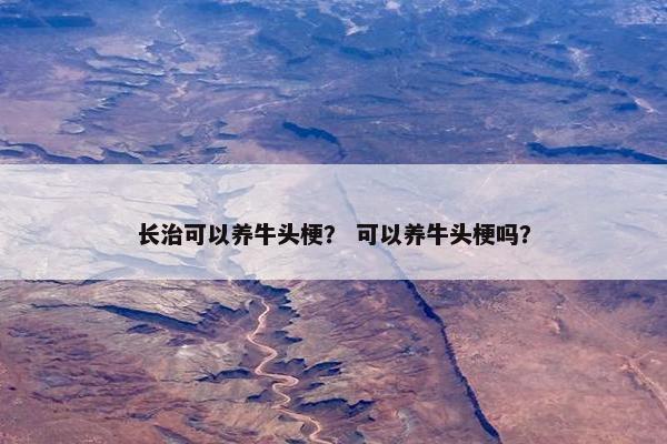 长治可以养牛头梗？ 可以养牛头梗吗？