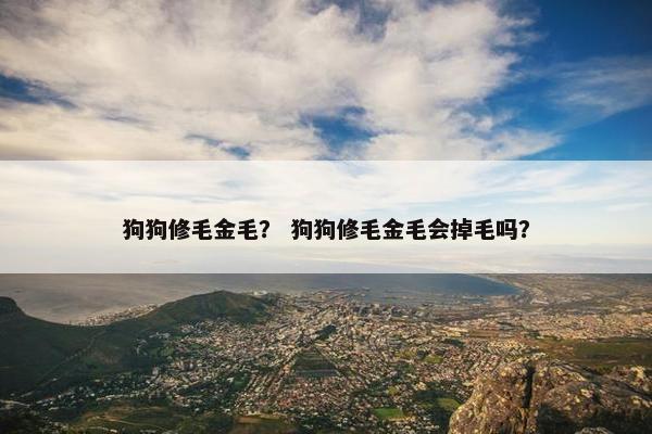 狗狗修毛金毛？ 狗狗修毛金毛会掉毛吗？