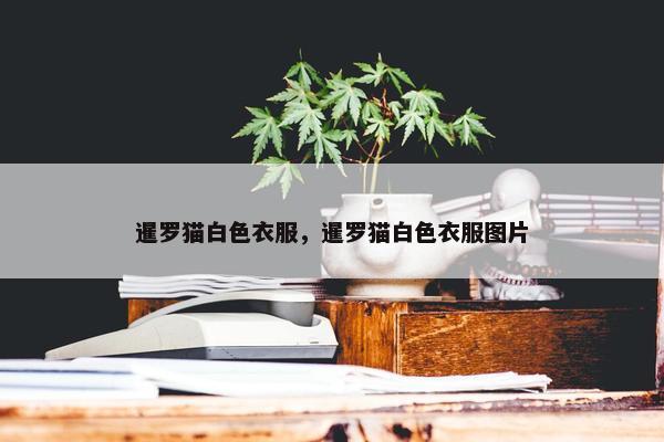 暹罗猫白色衣服，暹罗猫白色衣服图片