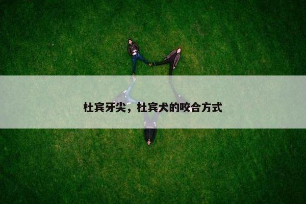 杜宾牙尖，杜宾犬的咬合方式