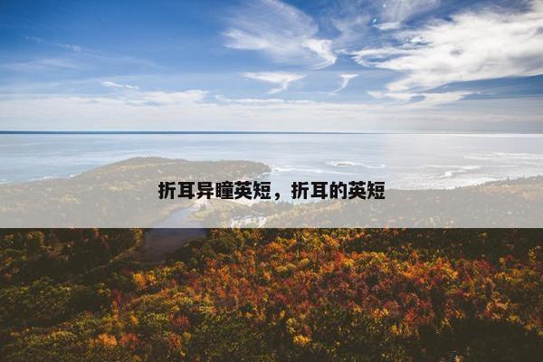 折耳异瞳英短，折耳的英短