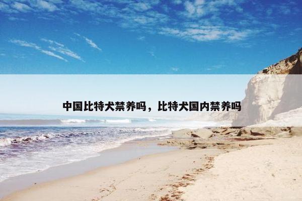 中国比特犬禁养吗，比特犬国内禁养吗