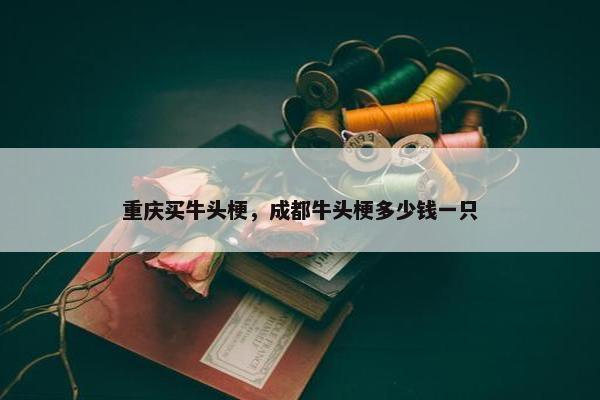 重庆买牛头梗，成都牛头梗多少钱一只