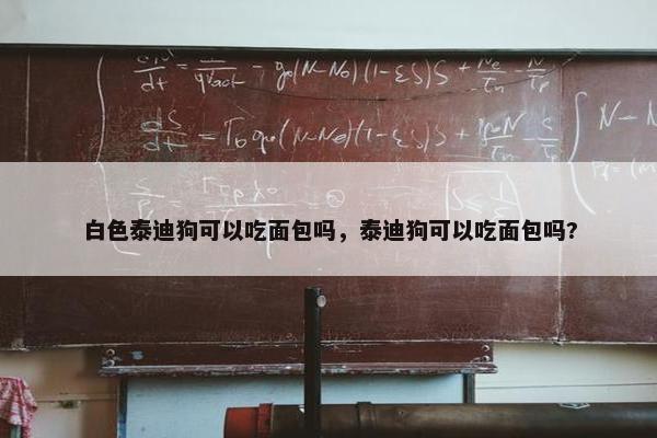 白色泰迪狗可以吃面包吗，泰迪狗可以吃面包吗?