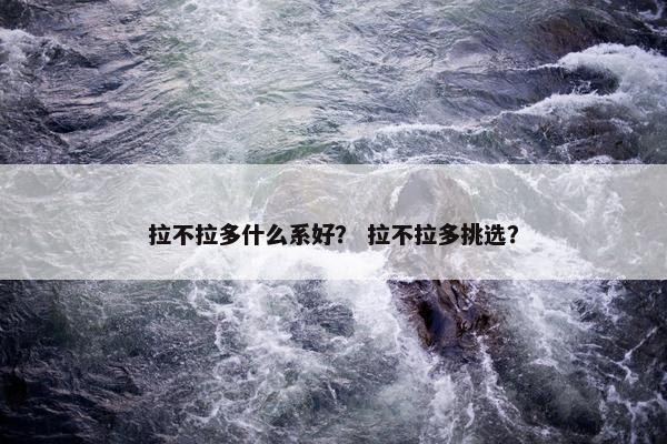 拉不拉多什么系好？ 拉不拉多挑选？