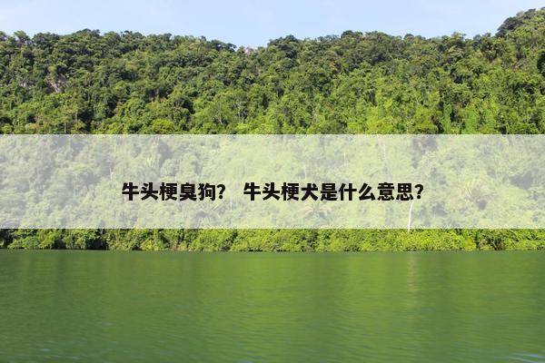 牛头梗臭狗？ 牛头梗犬是什么意思？