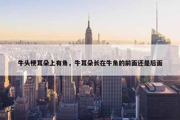 牛头梗耳朵上有角，牛耳朵长在牛角的前面还是后面
