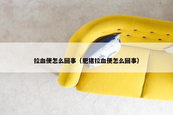 拉血便怎么回事（肥猪拉血便怎么回事）