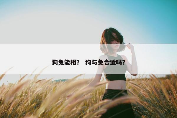 狗兔能相？ 狗与兔合适吗？