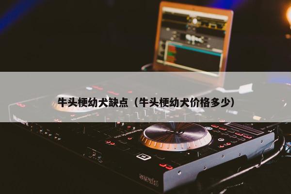 牛头梗幼犬缺点（牛头梗幼犬价格多少）