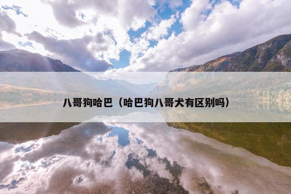 八哥狗哈巴（哈巴狗八哥犬有区别吗）