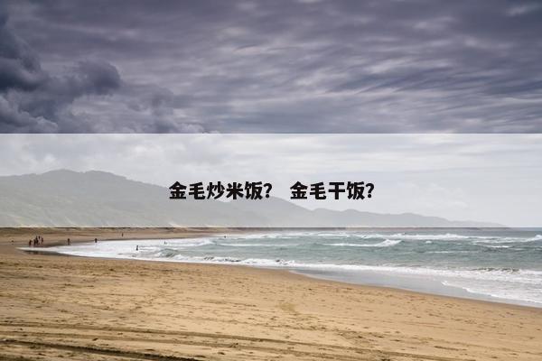 金毛炒米饭？ 金毛干饭？