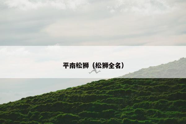 平南松狮（松狮全名）