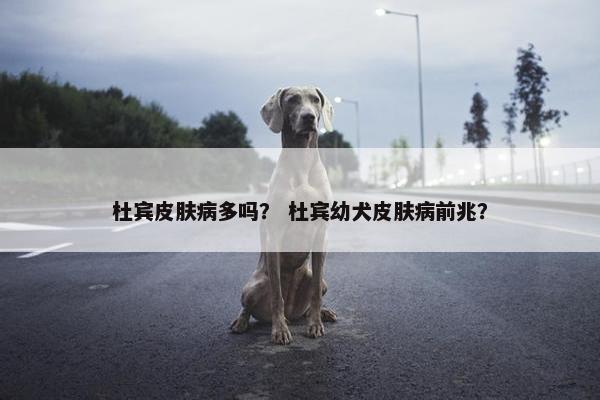 杜宾皮肤病多吗？ 杜宾幼犬皮肤病前兆？