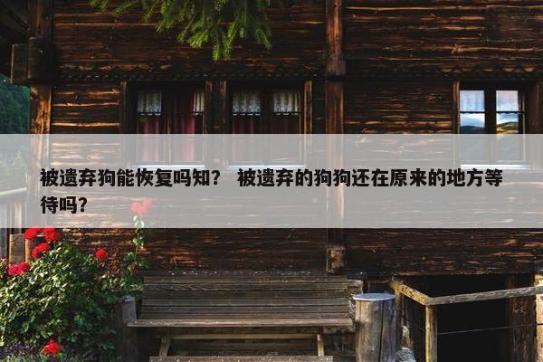被遗弃狗能恢复吗知？ 被遗弃的狗狗还在原来的地方等待吗？