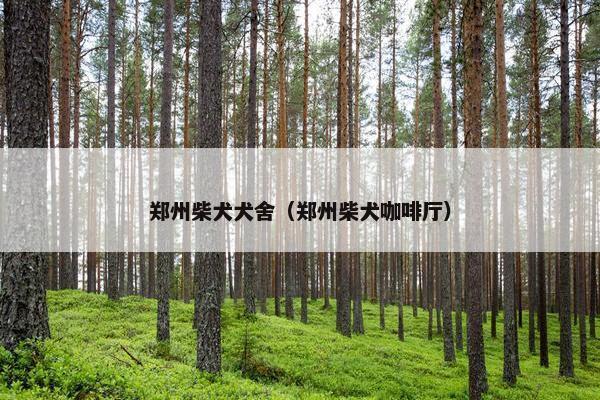 郑州柴犬犬舍（郑州柴犬咖啡厅）