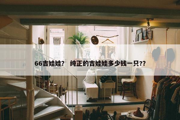 66吉娃娃？ 纯正的吉娃娃多少钱一只?？