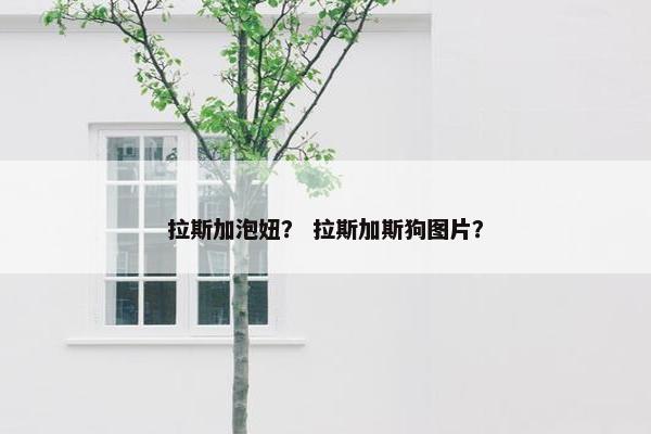 拉斯加泡妞？ 拉斯加斯狗图片？