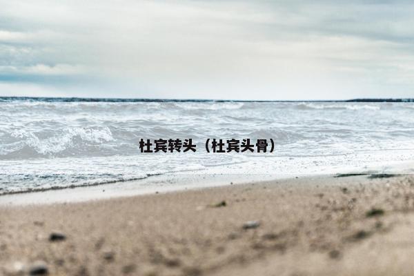 杜宾转头（杜宾头骨）