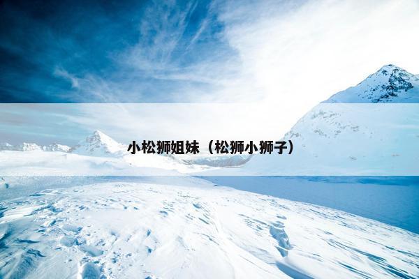 小松狮姐妹（松狮小狮子）