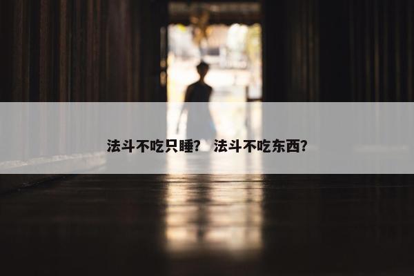 法斗不吃只睡？ 法斗不吃东西？