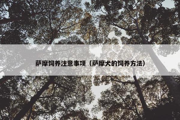 萨摩饲养注意事项（萨摩犬的饲养方法）