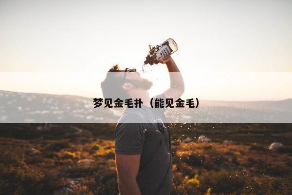 梦见金毛扑（能见金毛）