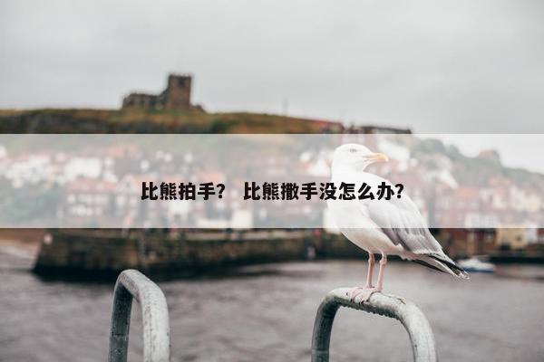 比熊拍手？ 比熊撒手没怎么办？