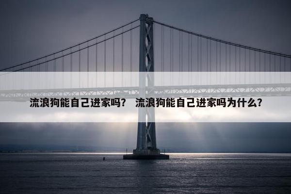 流浪狗能自己进家吗？ 流浪狗能自己进家吗为什么？