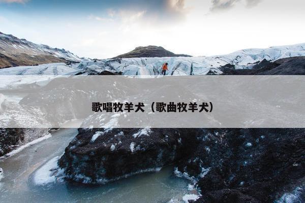 歌唱牧羊犬（歌曲牧羊犬）