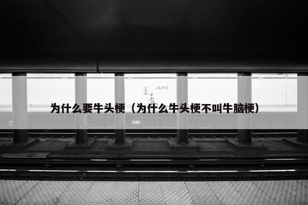 为什么要牛头梗（为什么牛头梗不叫牛脑梗）