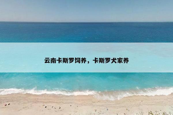 云南卡斯罗饲养，卡斯罗犬家养