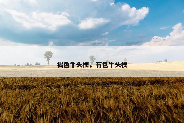 褐色牛头梗，有色牛头梗