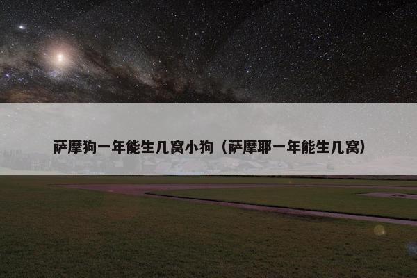 萨摩狗一年能生几窝小狗（萨摩耶一年能生几窝）