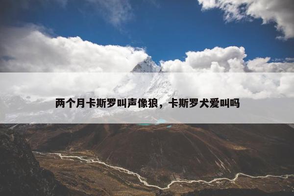 两个月卡斯罗叫声像狼，卡斯罗犬爱叫吗