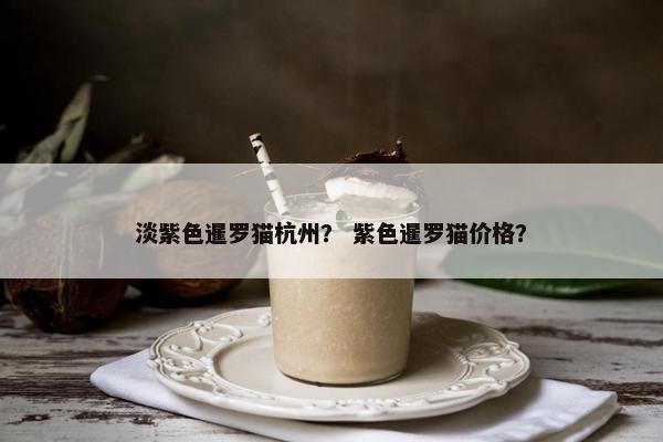 淡紫色暹罗猫杭州？ 紫色暹罗猫价格？