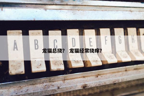 龙猫总挠？ 龙猫经常挠痒？