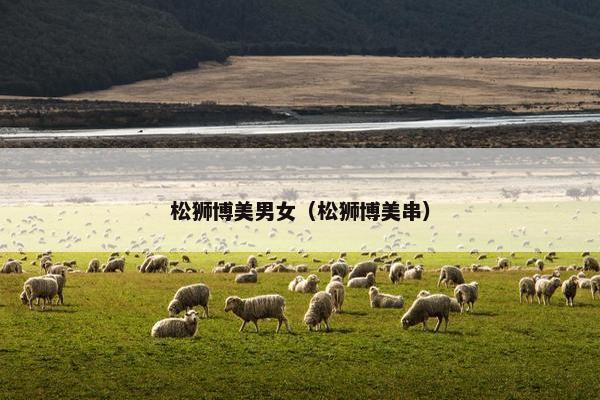 松狮博美男女（松狮博美串）