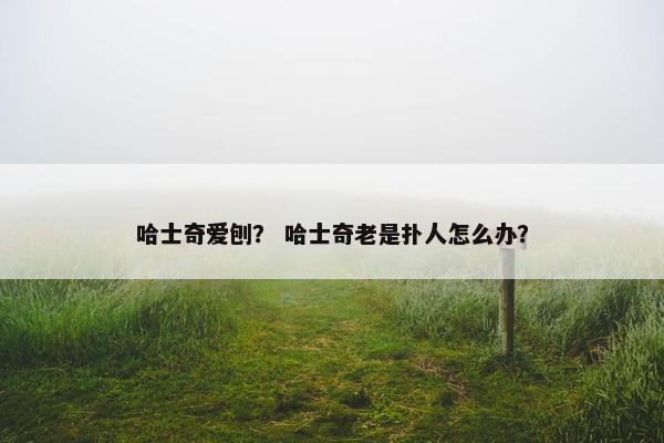 哈士奇爱刨？ 哈士奇老是扑人怎么办？