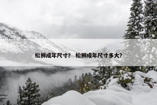 松狮成年尺寸？ 松狮成年尺寸多大？