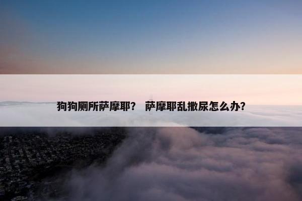 狗狗厕所萨摩耶？ 萨摩耶乱撒尿怎么办？