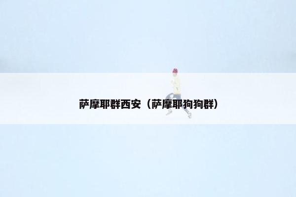 萨摩耶群西安（萨摩耶狗狗群）